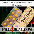 What Is Kamagra Oral Jelly new06